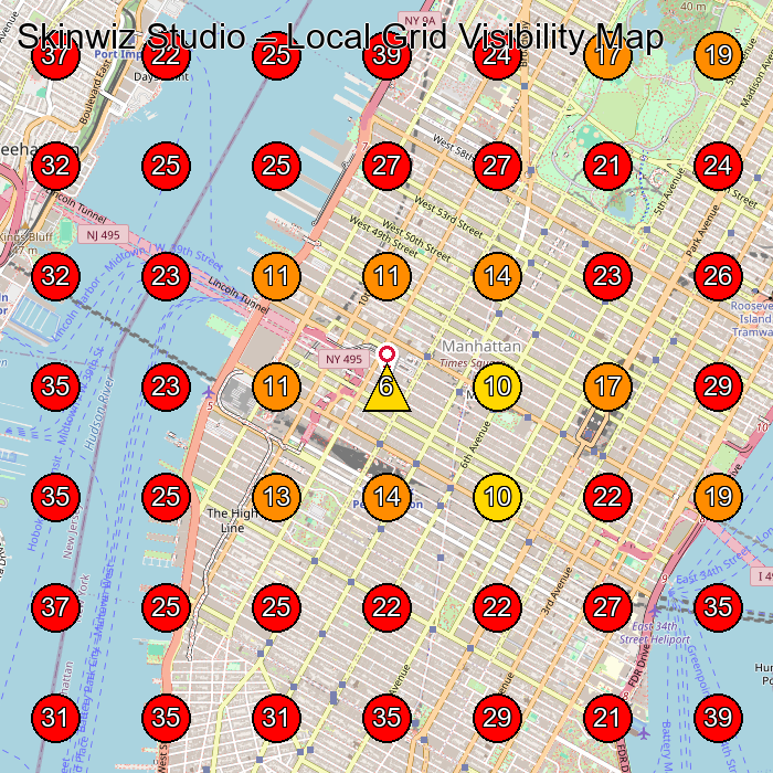Skinwiz Studio GeoGrid visibility map for Facial Spa in New York